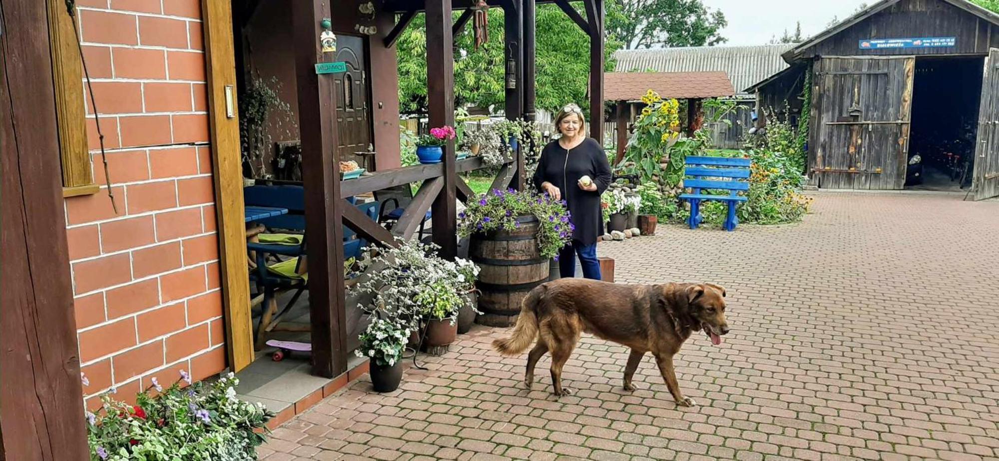 "Jutrzenka" Leilighet Białowieża Eksteriør bilde
